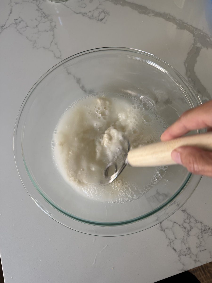 Danish dough whisk mixing starter
