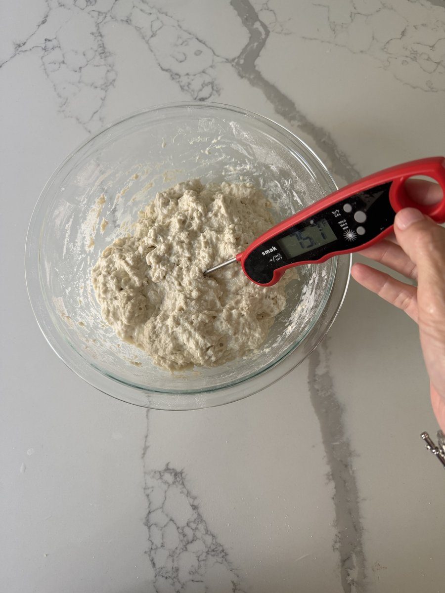 Digital kitchen thermometer