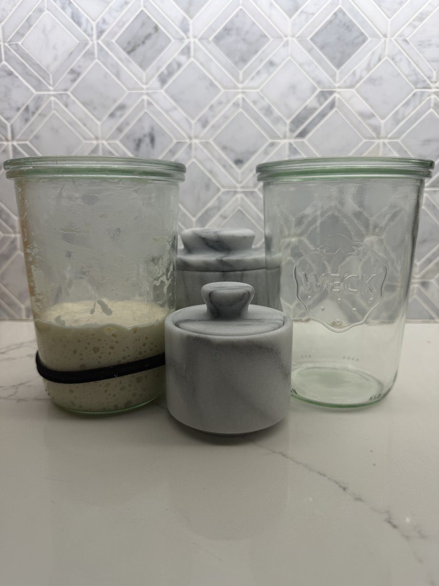 Weck jars with sourdough starter